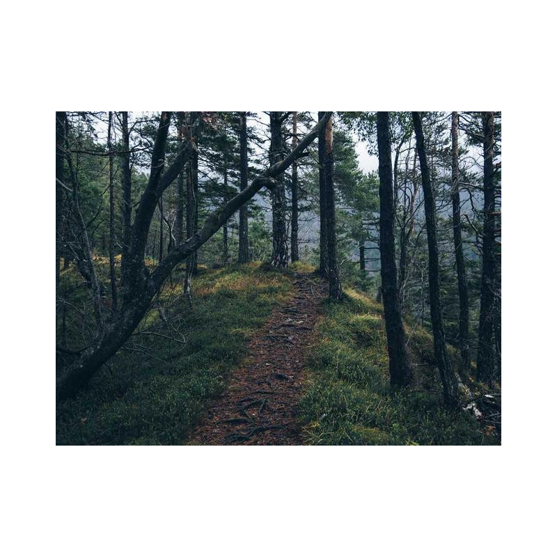 Sleek Concrete Knife fr-FR